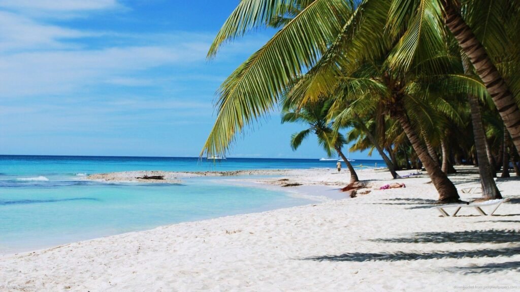 Punta Cana, beautiful view of a tropical beach in the Dominican Republic.